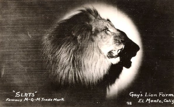 Behind The Scenes Of The Mgm Lion: How Hollywood'S Most Famous Roar Was Made
