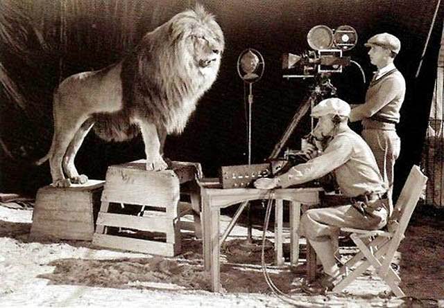 Behind The Scenes Of The Mgm Lion: How Hollywood'S Most Famous Roar Was Made