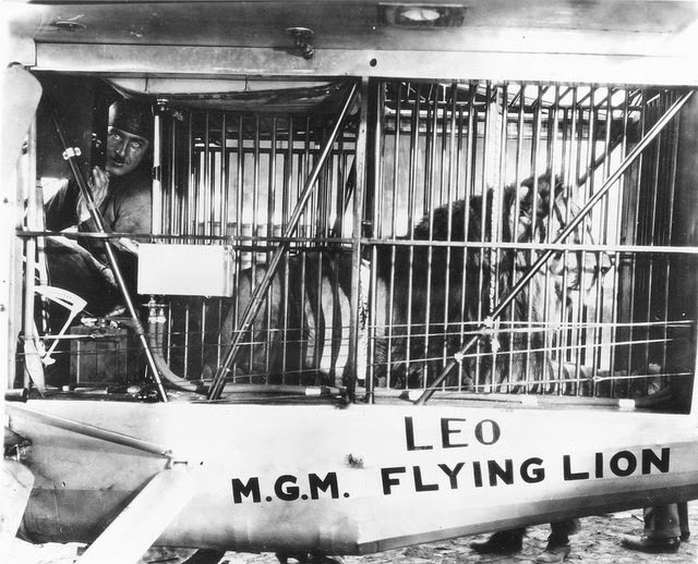 Behind The Scenes Of The Mgm Lion: How Hollywood'S Most Famous Roar Was Made