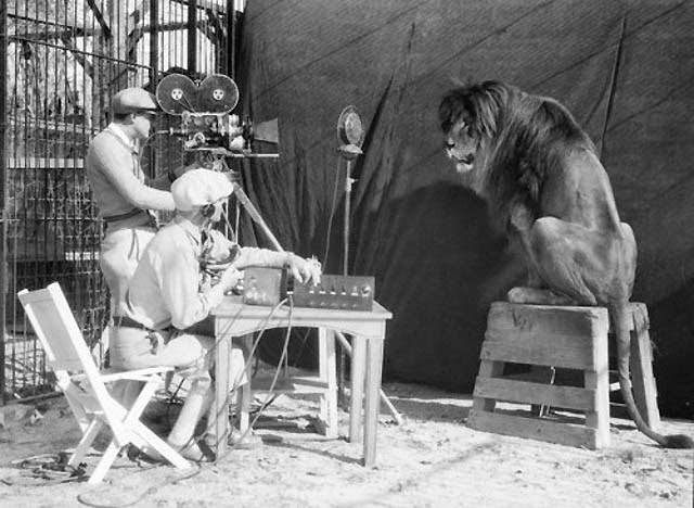 Behind The Scenes Of The Mgm Lion: How Hollywood'S Most Famous Roar Was Made