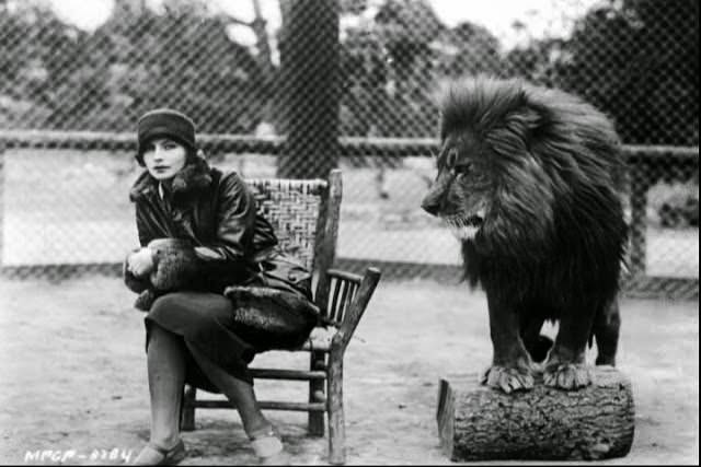Behind The Scenes Of The Mgm Lion: How Hollywood'S Most Famous Roar Was Made
