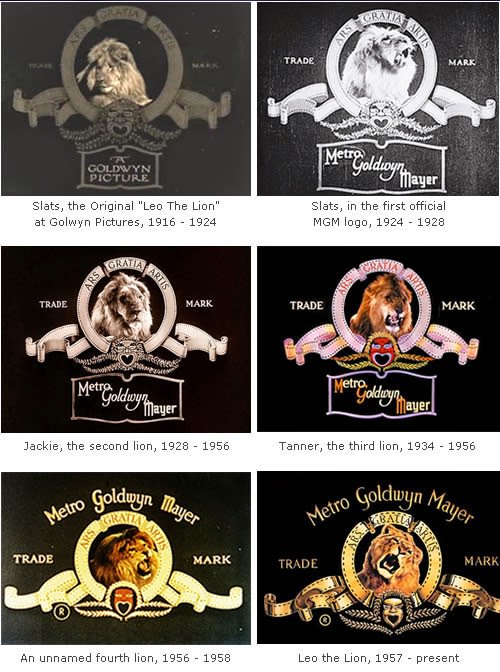 Behind The Scenes Of The Mgm Lion: How Hollywood'S Most Famous Roar Was Made