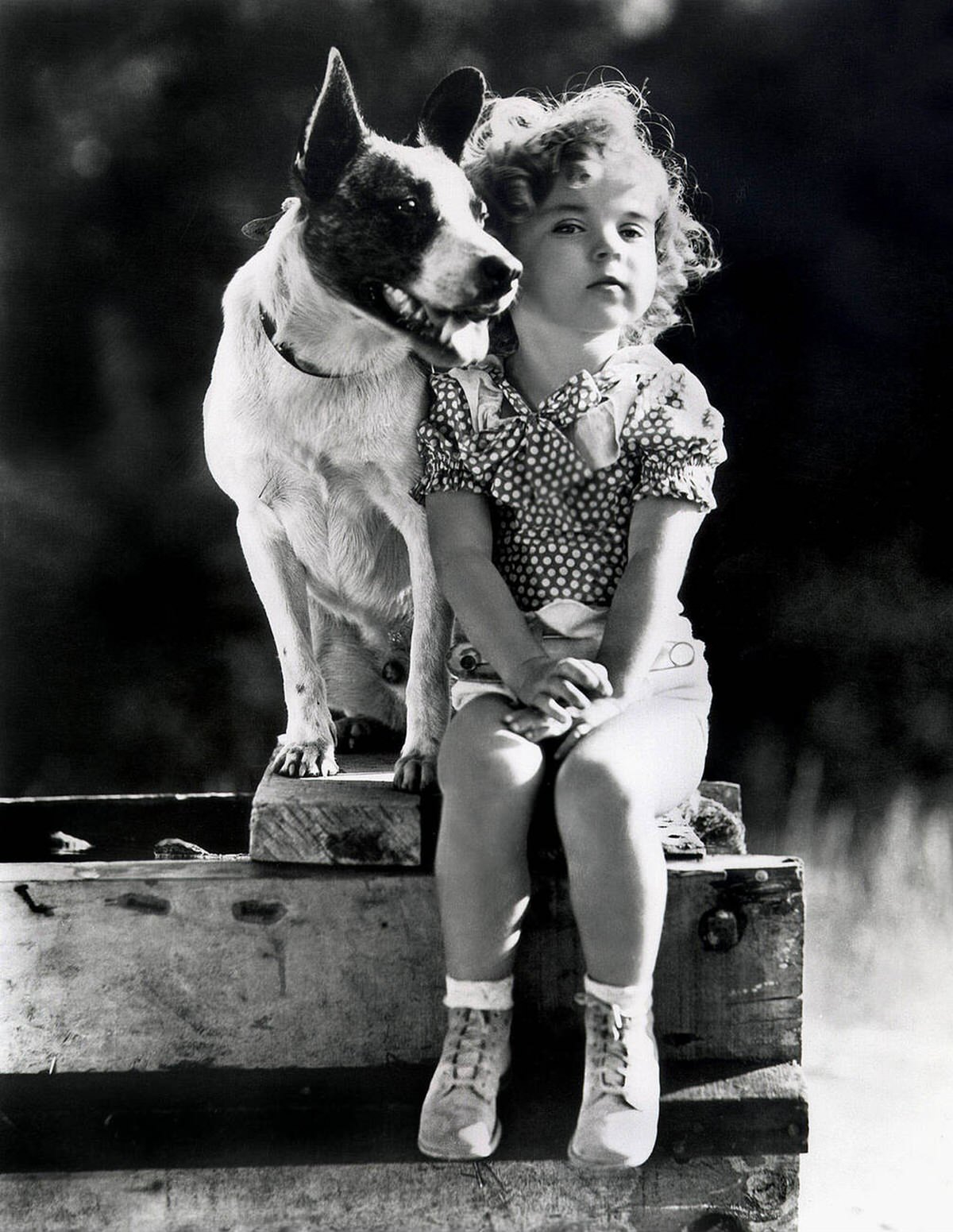 Shirley Temple With A Dog, 1933