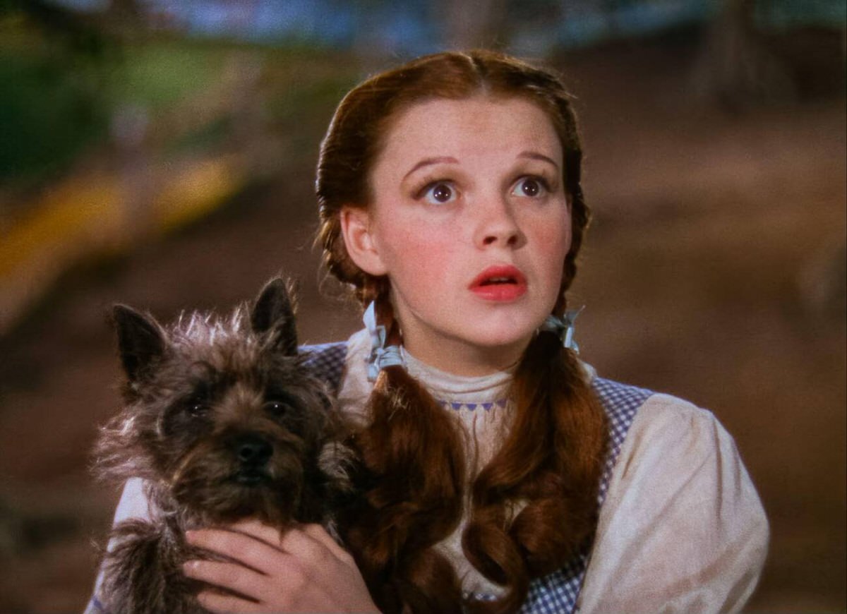 Judy Garland In A Scene From The Film, The Wizard Of Oz, 1939