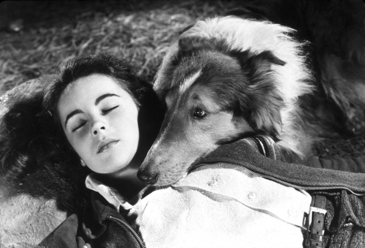Elizabeth Taylor, Lassie Come Home, 1943