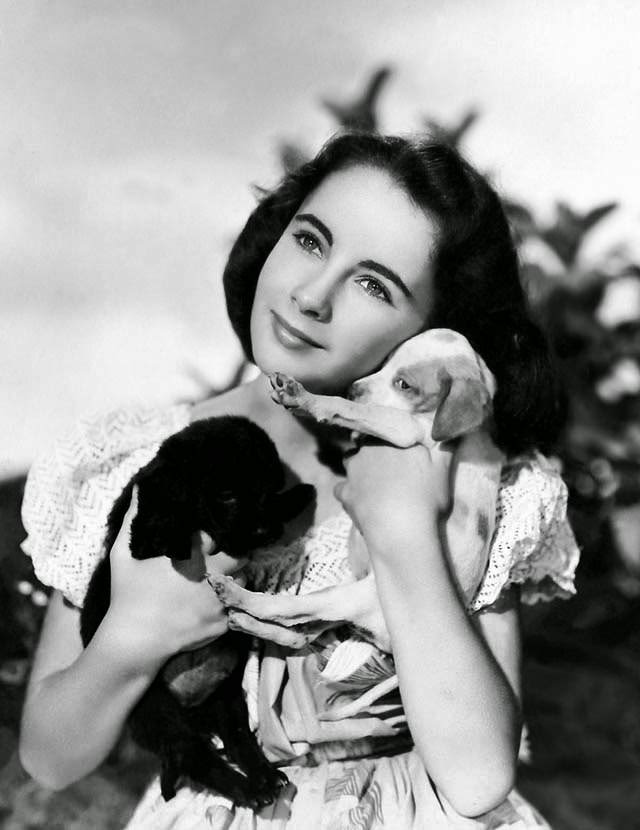 Elizabeth Taylor In &Amp;Quot;National Velvet,&Amp;Quot; 1944.