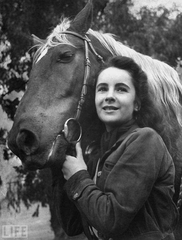 Elizabeth Taylor, Age 13, Poses With Her Own Horse After Shooting &Amp;Quot;National Velvet&Amp;Quot;