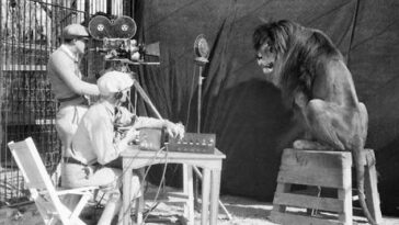 Mgm Lion Behind The Scenes