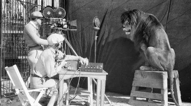 Mgm Lion Behind The Scenes
